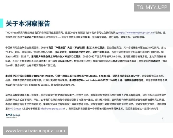 《2025年全球电竞产业报告：新兴市场崛起，电竞赛事成为全球文化新风潮》