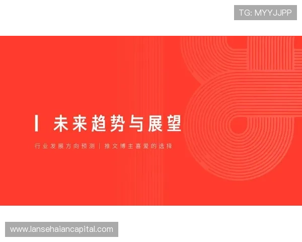 卡迪夫城足球俱乐部历史沿革与未来发展展望分析